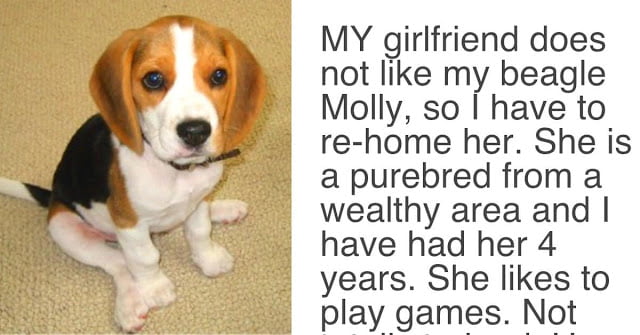 Girlfriend asks boyfriend, 'Either the dog goes, or I go' - Guy's answer wins the internet.