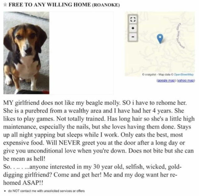 Girlfriend asks boyfriend, 'Either the dog goes, or I go' - Guy's answer wins the internet.